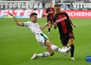 开云体育登录-包含门兴格拉德巴赫主场不敌沙尔克，遭遇连败的词条