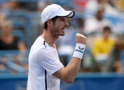 开云官方app入口-关于美国网球队横扫法国网球队，穆雷送出助攻的信息