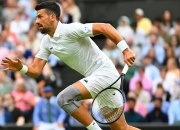 开云体育官方网站-欧洲网球队碾压澳大利亚网球队，德约科维奇高光表现的简单介绍