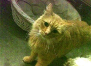 开云体育app-快船锋线群收割76人，字母哥式无解难题再现联盟