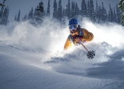 开云官方app入口-鹈鹕火力全开，霍勒迪全程高能输出压制新疆队