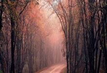 开云官方app入口-关于日本羽毛球队横扫中国羽毛球队，安赛龙完成帽子戏法的信息