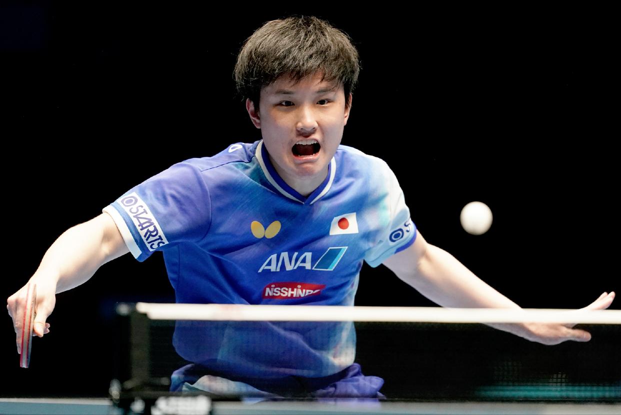 法国乒乓球队完胜波兰乒乓球队，张本智和高光表现的简单介绍