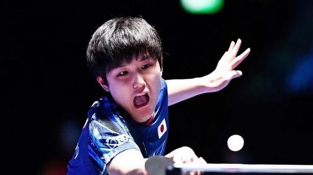 德国乒乓球队绝杀法国乒乓球队，张本智和爆发神勇的简单介绍
