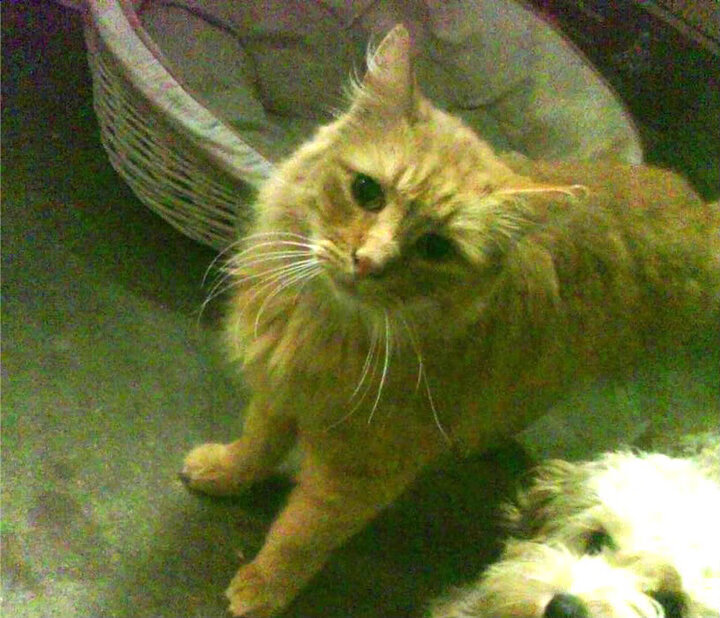 快船锋线群收割76人，字母哥式无解难题再现联盟