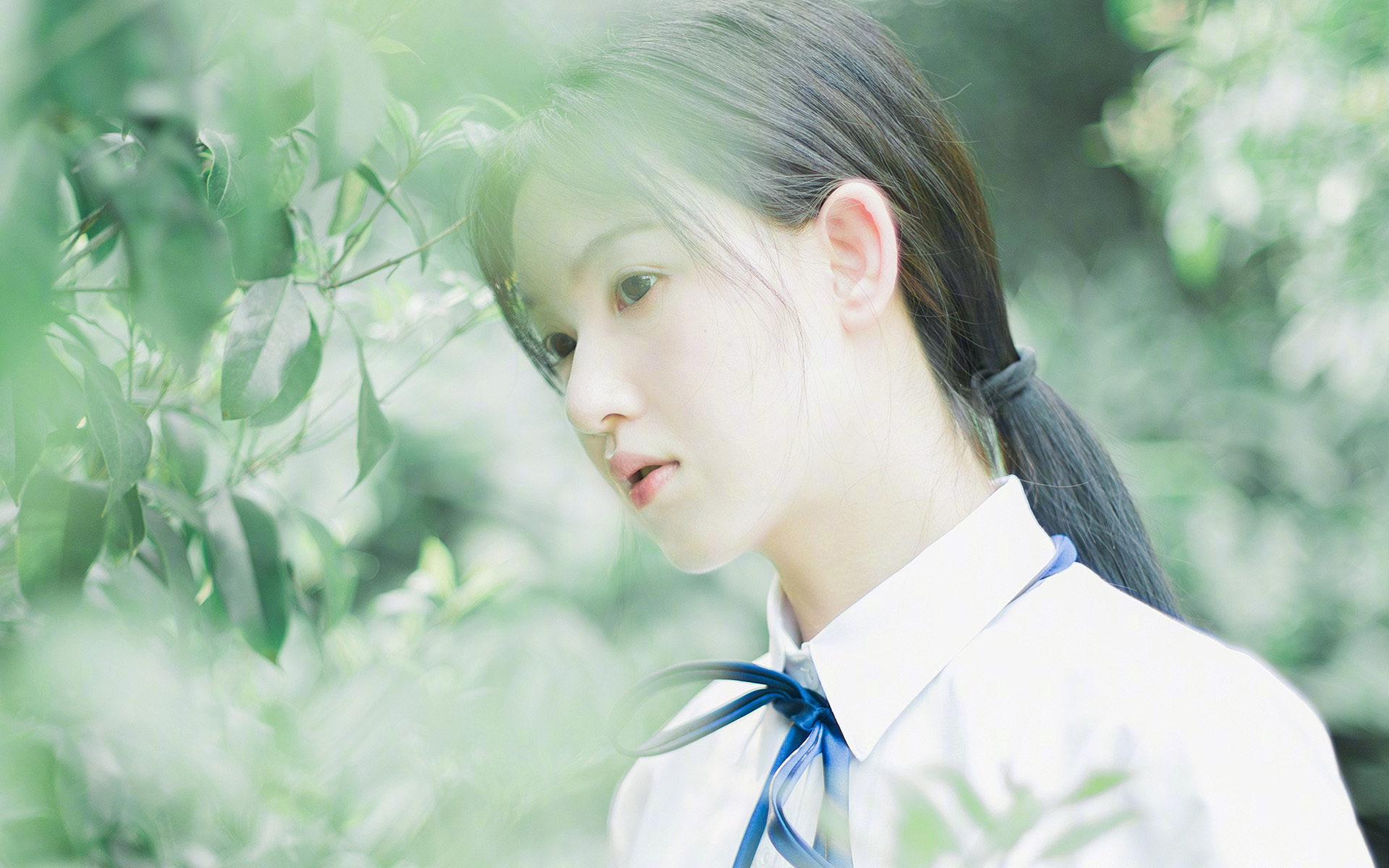 灰熊铁蹄踏碎深圳防线，塔图姆全能表演诠释现代篮球美学