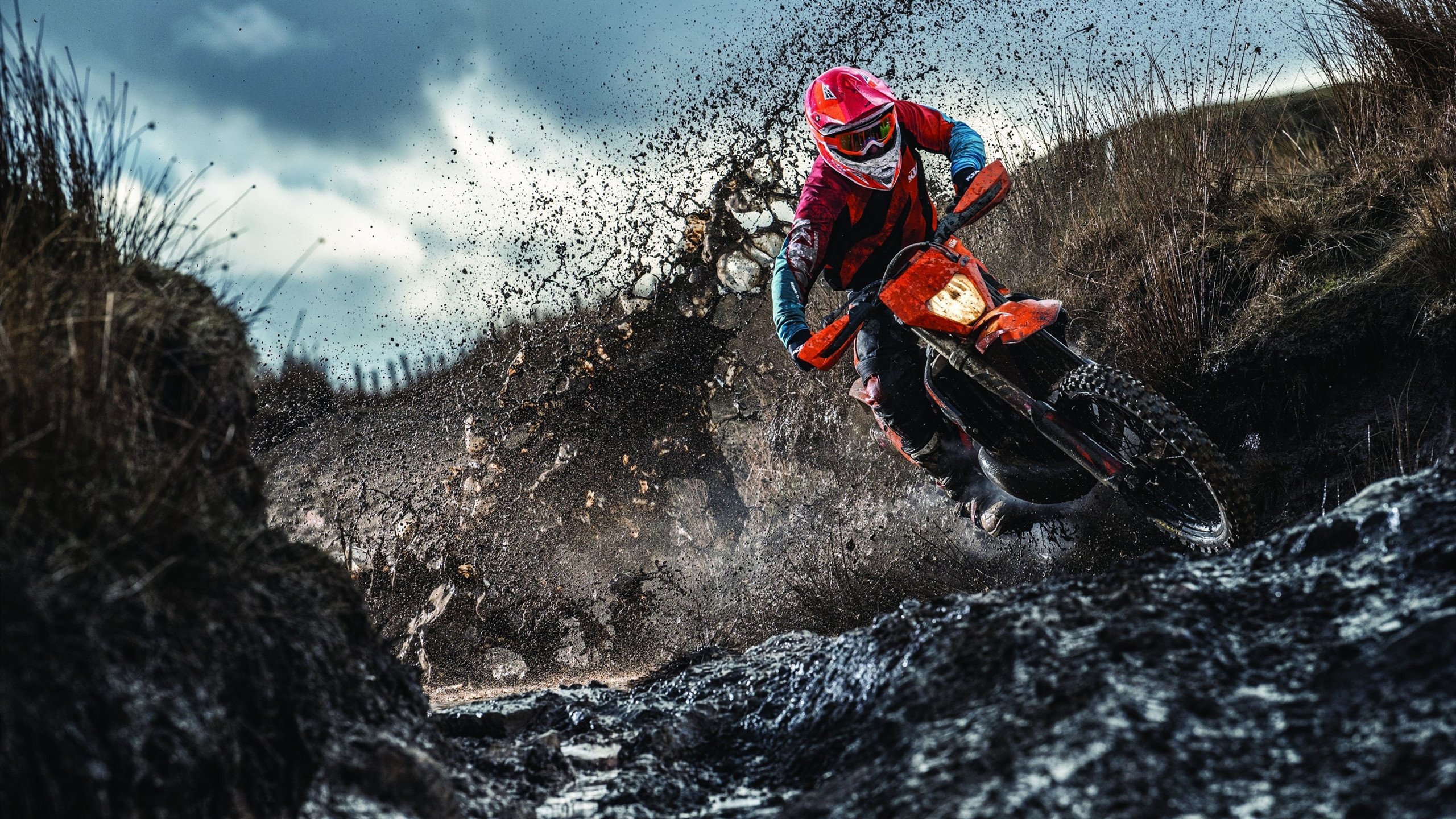 灰熊铁蹄踏碎奇才，锡安东决封神一战定江山